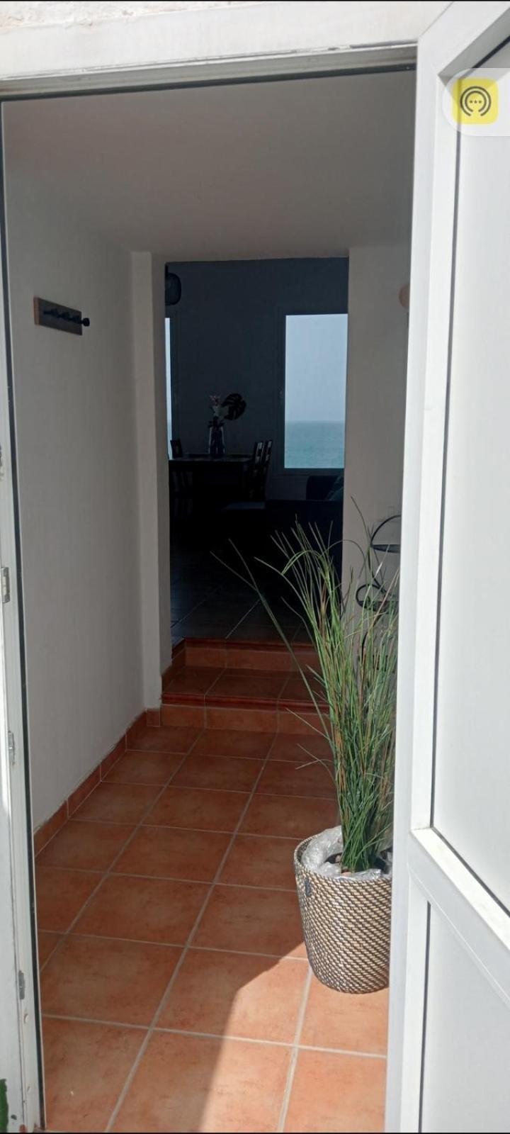 Piso Magico Junto Al Mar Con Gran Terraza Leilighet Santa Maria de Guia de Gran Canaria Eksteriør bilde
